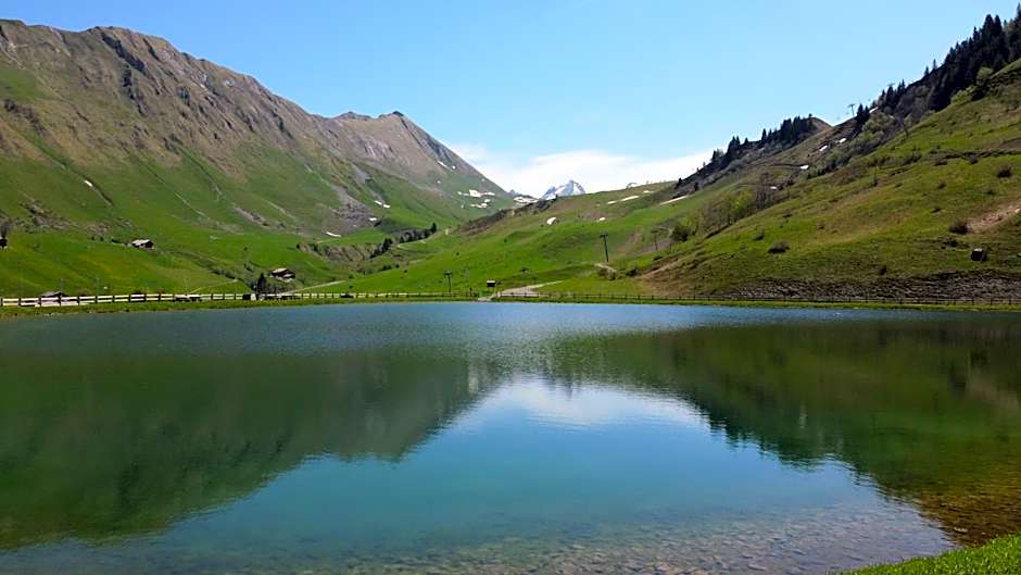 Hôtel et Spa Le Vermont