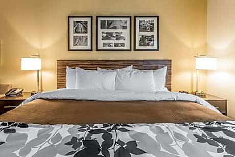 1 King Bed, Nonsmoking
