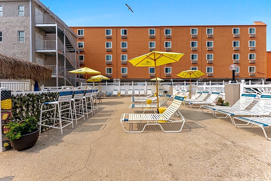 Oceanic Hotel & Barefoot Tiki Bar