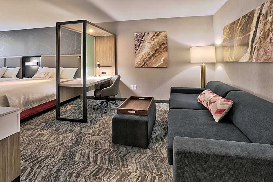 Springhill Suites by Marriott Durango