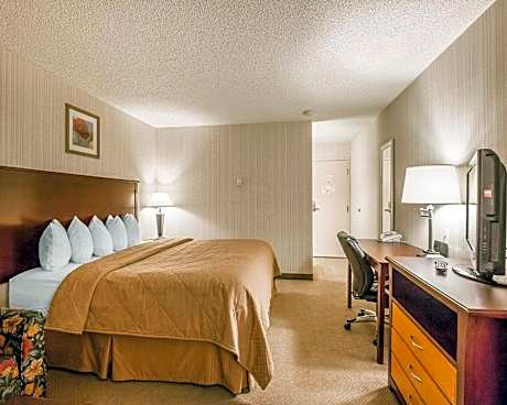 Deluxe 1 King Bed and Sofabed - No Smoking