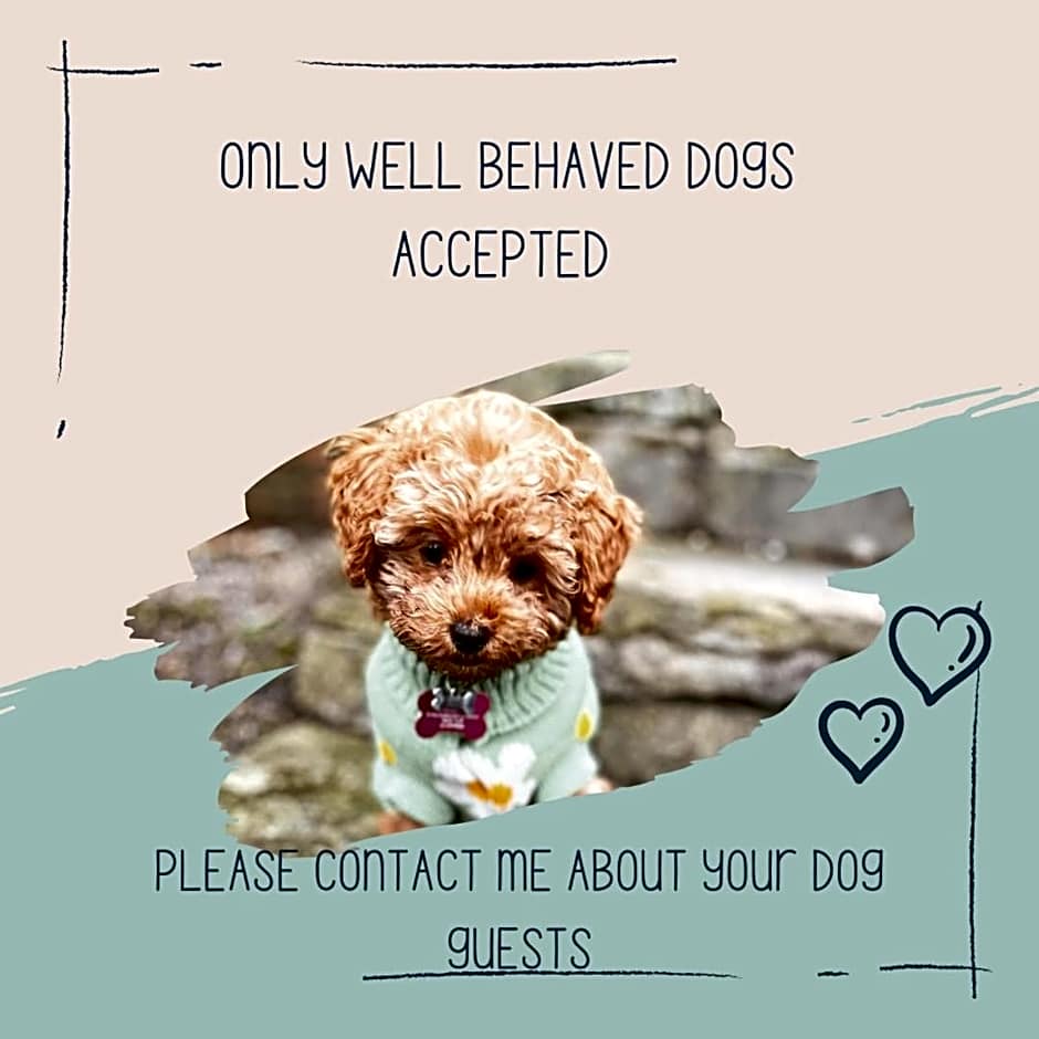 Jacobs Retreat- Lido Beach- well behaved dogs welcome