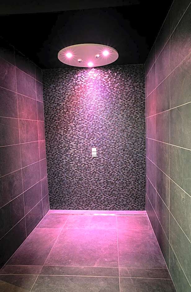 Brit Hotel Le Galion & Spa