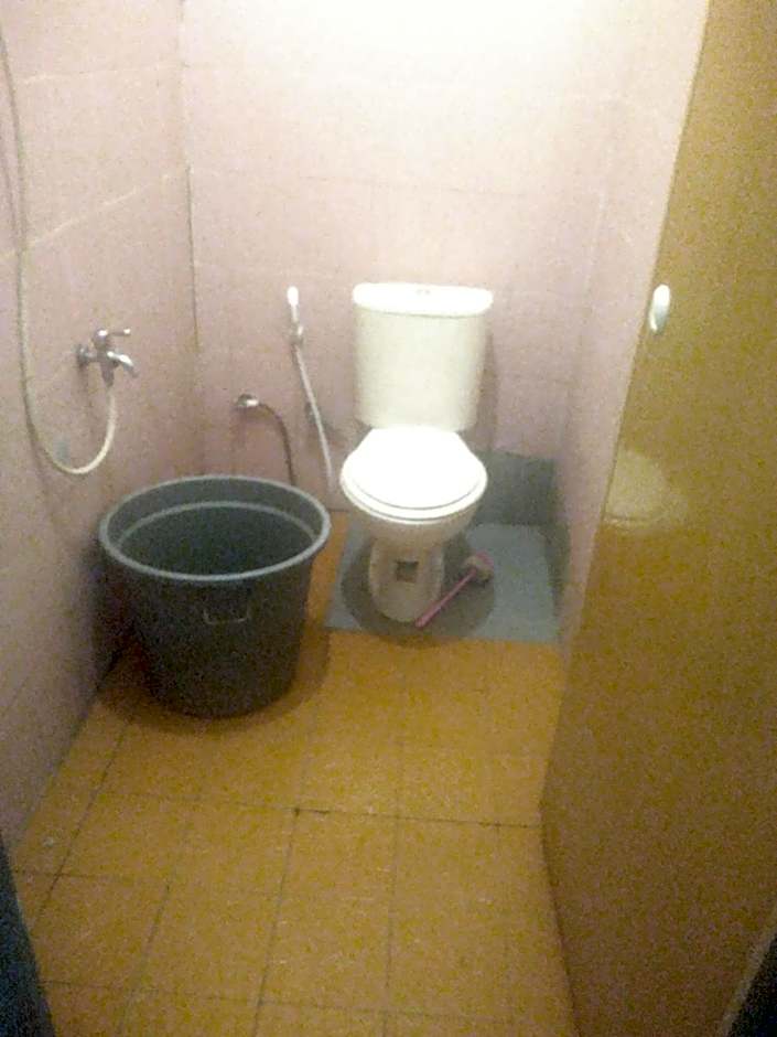 Umiyuki jungle tour only treking with us