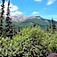 Denali Crow's Nest Cabins