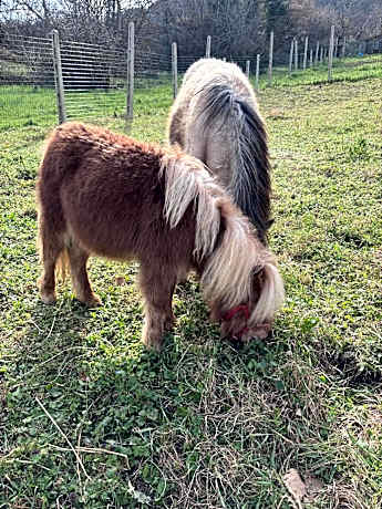 Agriturismo B&B La Cerasa