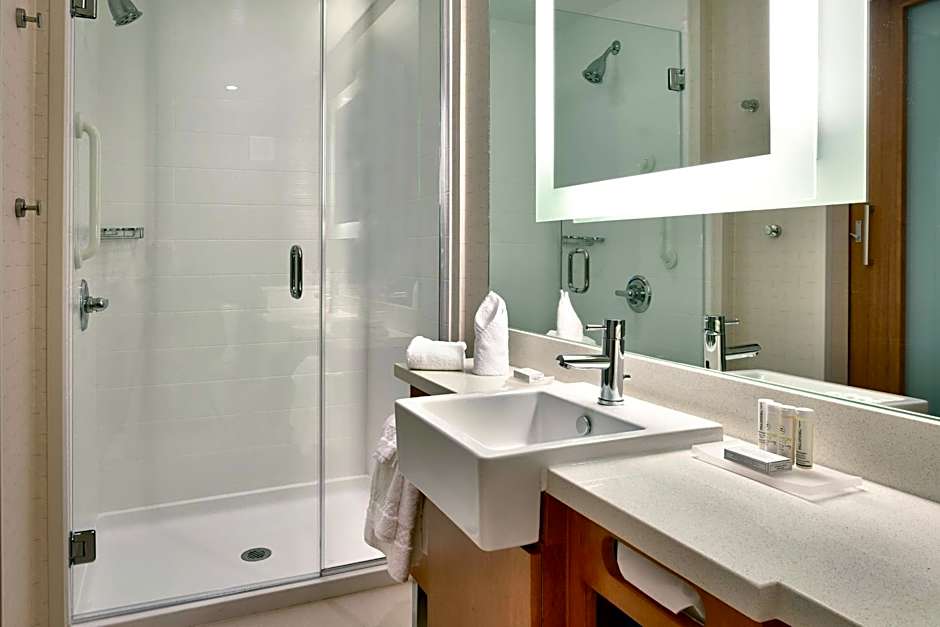 SpringHill Suites by Marriott Houston I-45 North