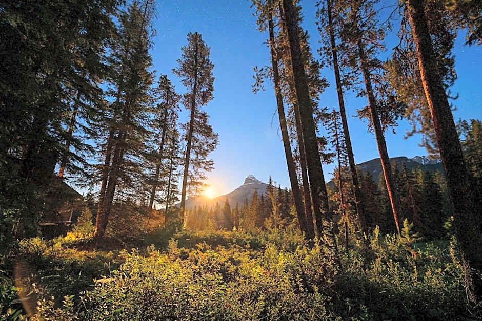 Johnston Canyon Lodge & Bungalows