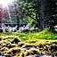 Hartfield House Hostel