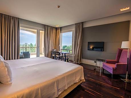 Superior room with 1 king-size bed