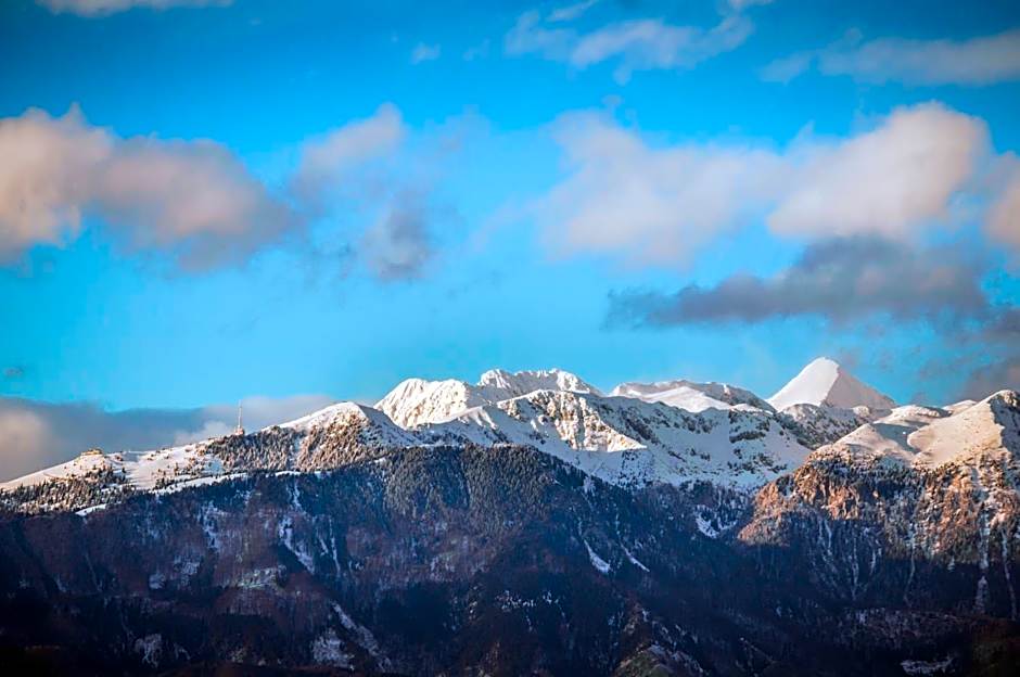 Hotel Krona Domžale