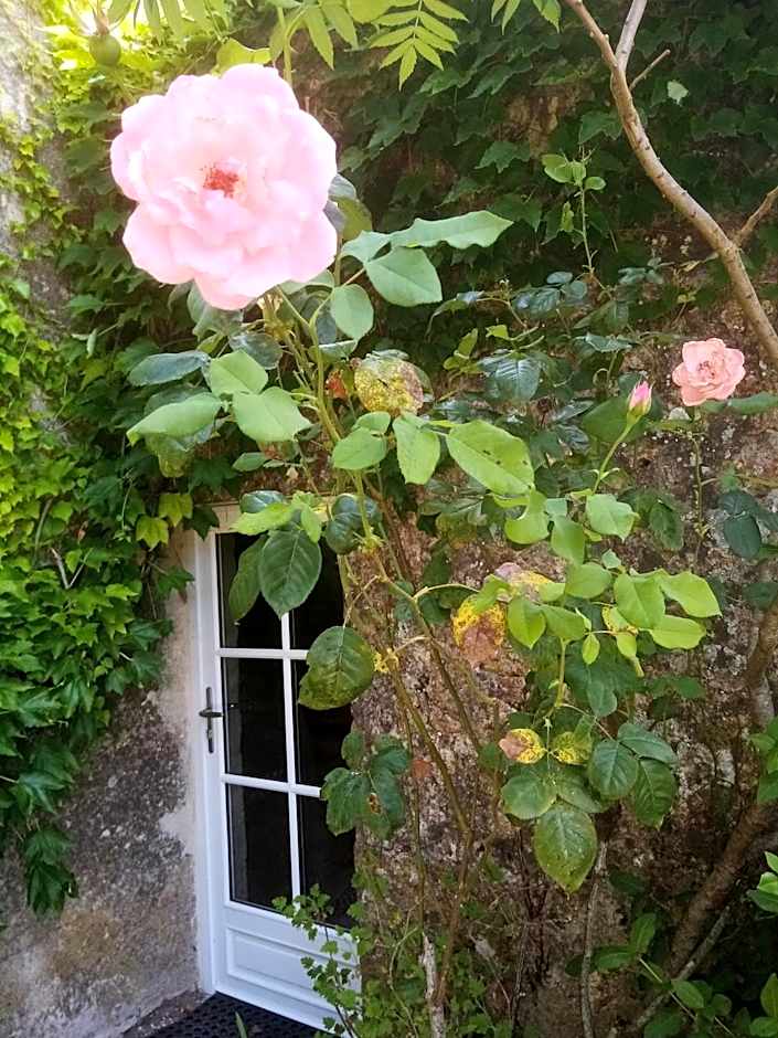 Chambres d'Hôtes Domaine du Bouchon