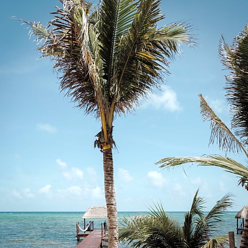 Cielo Maya Beach Tulum