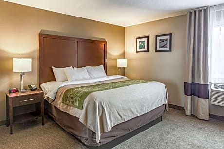 1 King Bed, Nonsmoking, Accessible