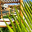 Exotic Sea Boutique Adults Only