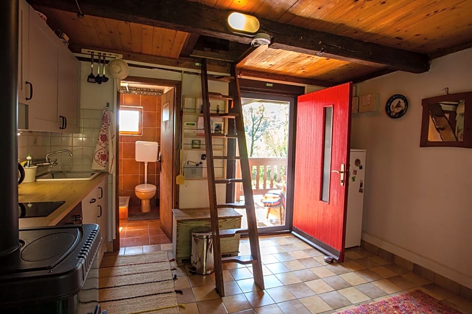 Na Okić - a private forest oasis