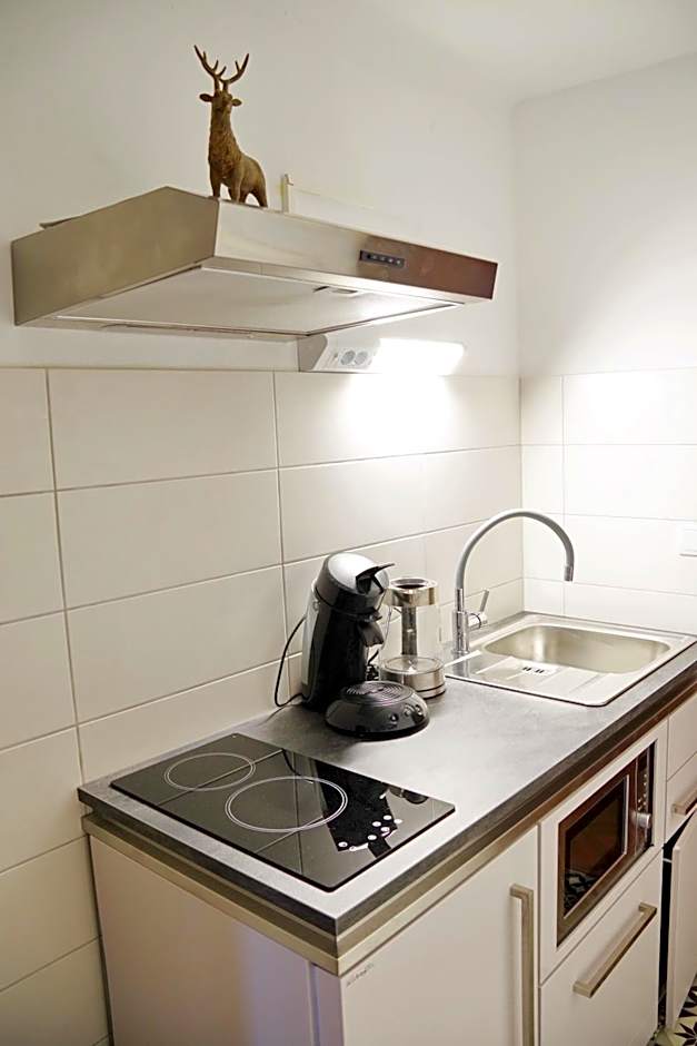Apartment Haus Pflingsteck nahe Europa Park Rulantica