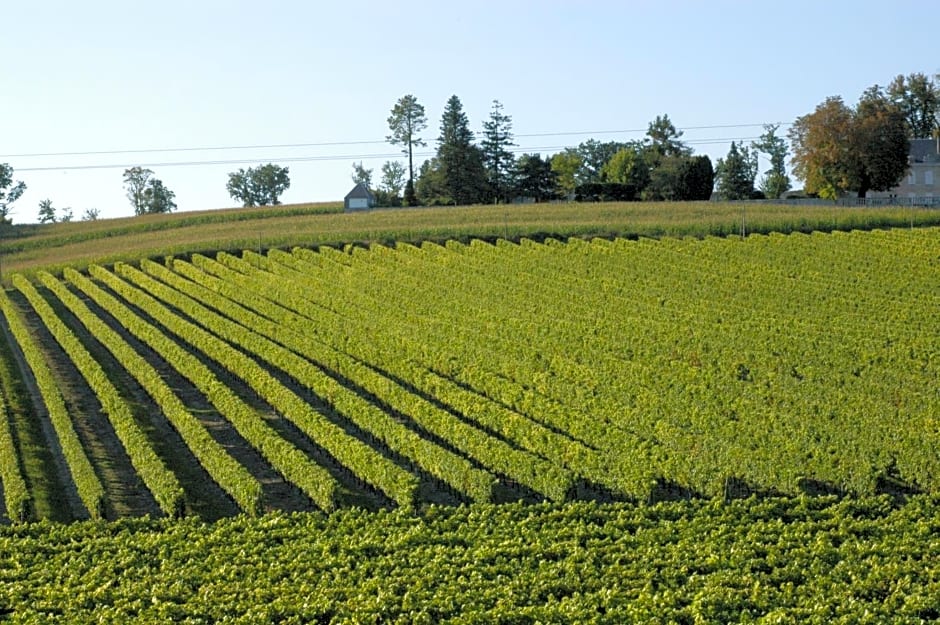 Les Arums de Fondeminjean