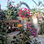 Villa delle rose