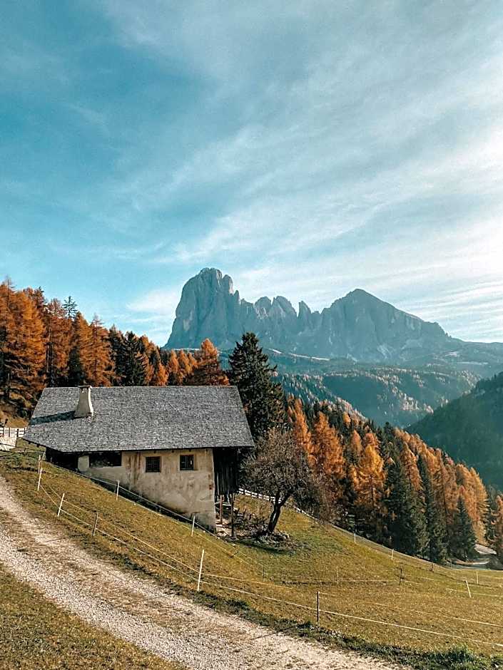 Mountain Chalet Pra Ronch