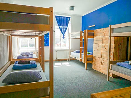 Bed in 8-Bed Mixed Dormitory Room