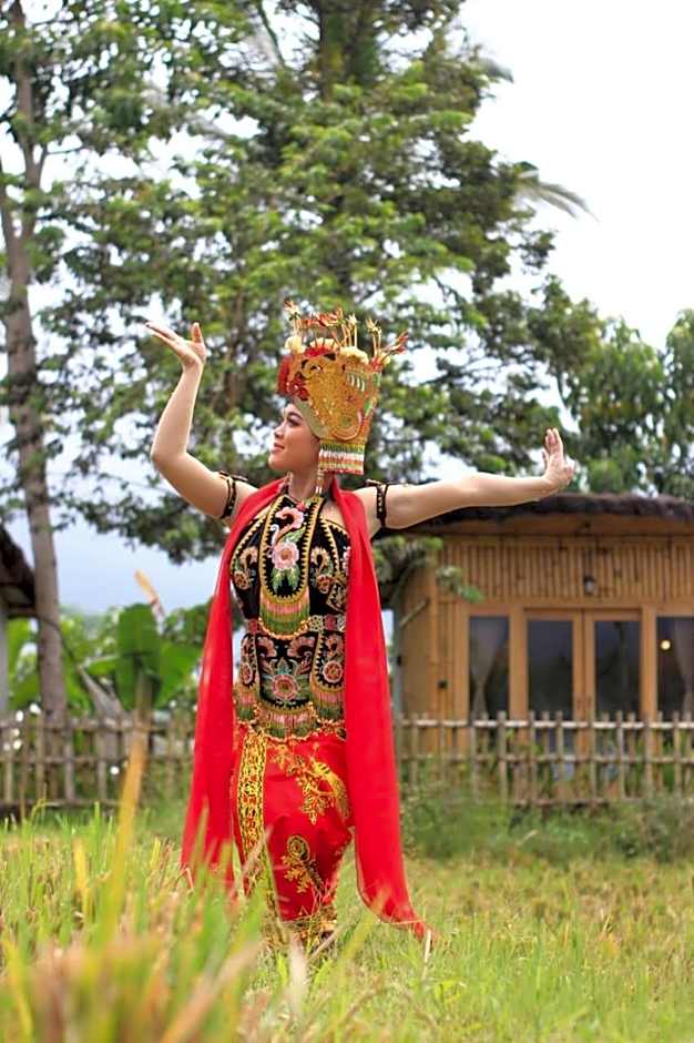 Sawah Ijen