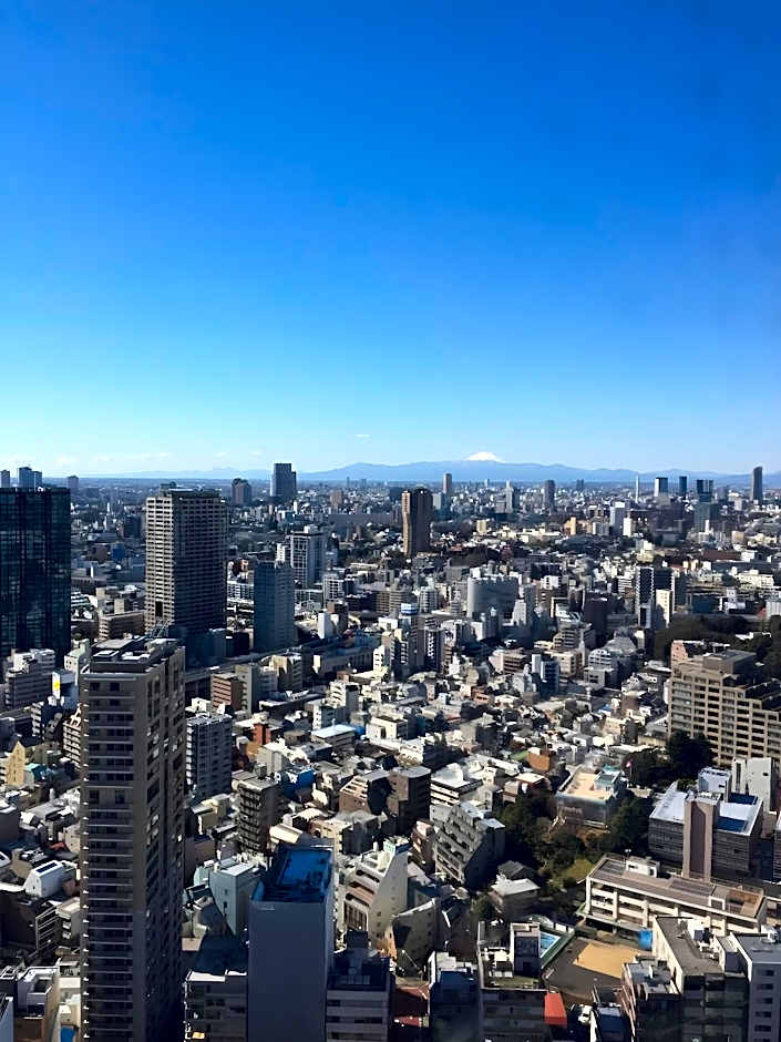 Henn na Hotel Tokyo Hamamatsucho