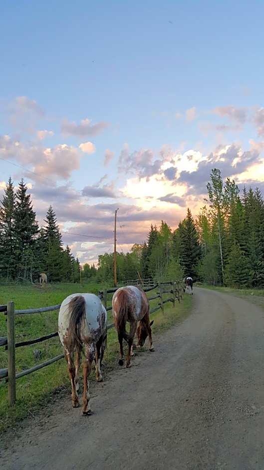 Wettstone Guest Ranch