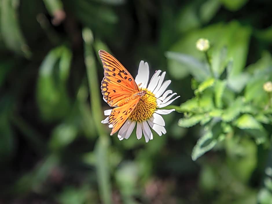 Paradise Departamentos