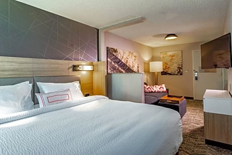 King Suite with Sofa Bed