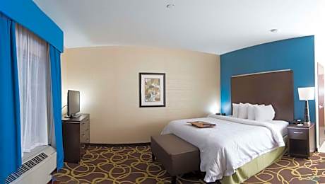 1 King Bed Nonsmoking