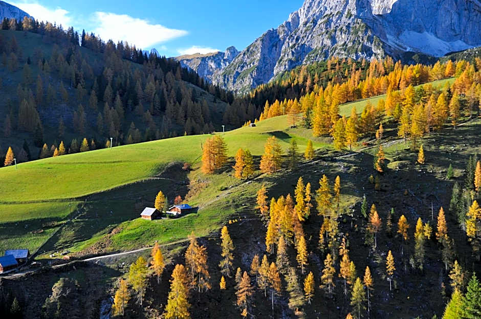Landhaus & Ferienwohnungen Bergrast