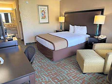 Suite - King Bed Non - Smoking