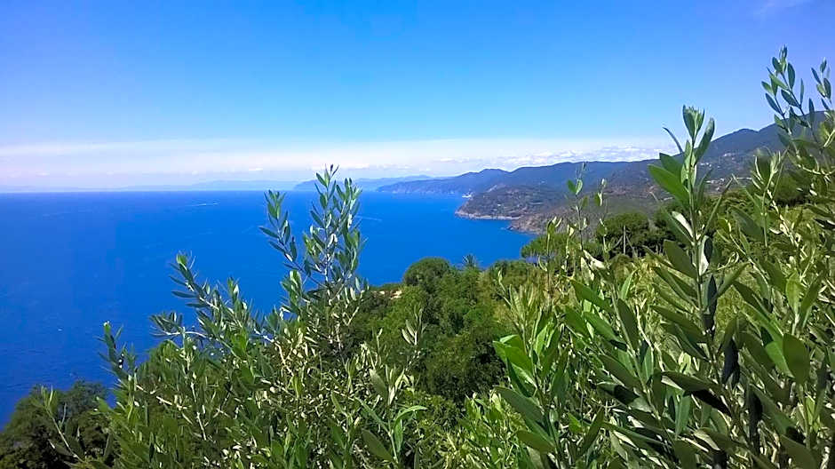 Hotel La Giada del Mesco