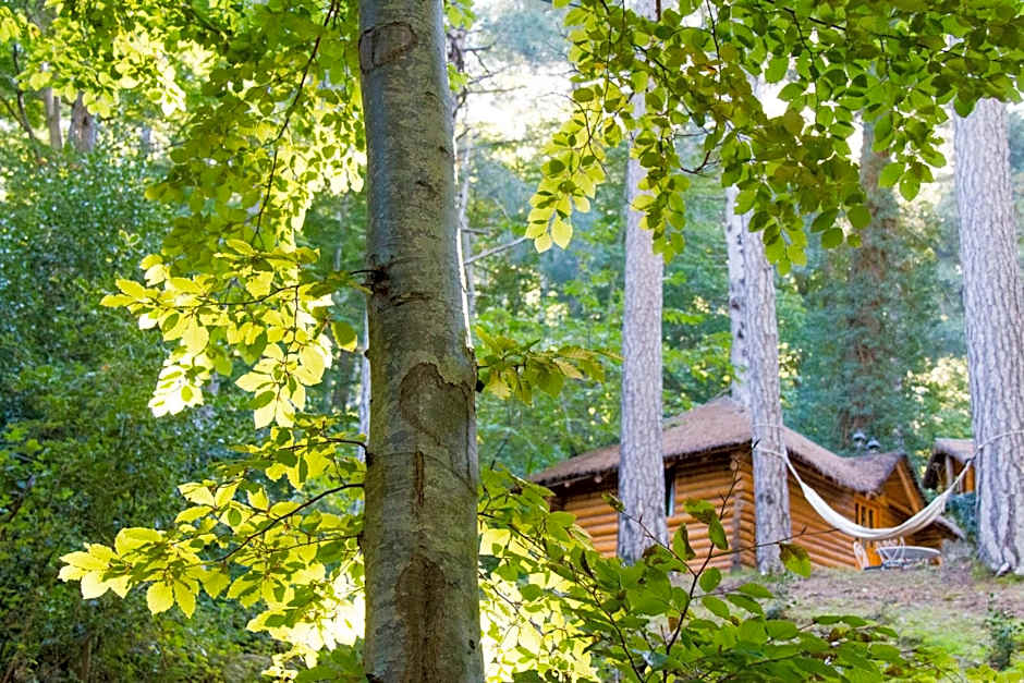 Hôtel Restaurant U Castellu Vizzavona