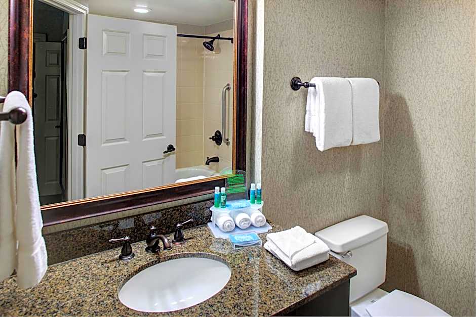 Holiday Inn Express Hotel & Suites Atlanta Buckhead By IHG