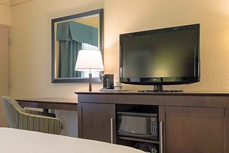  1 QUEEN MOBILITY/HEARING ACCESS RI SHWR NS - VIS FIREALRM/DOOR/PHN ALRT - HDTV/FREE WI-FI/ HOT BREAKFAST INCLUDED -