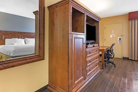 King Room - Pet Friendly/Non-Smoking
