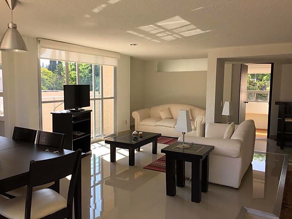 Bosque de Magnolias 93