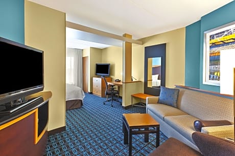 Suite, 1 King Bed with Sofa bed (1 King Bed and 1 Double Sofa Bed)