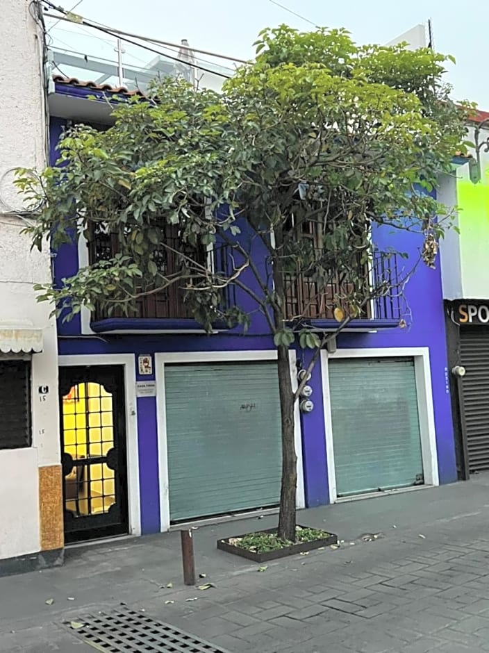 Hotel Casa Frida