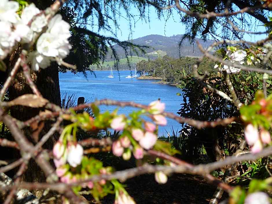 Donalea Bed & Breakfast