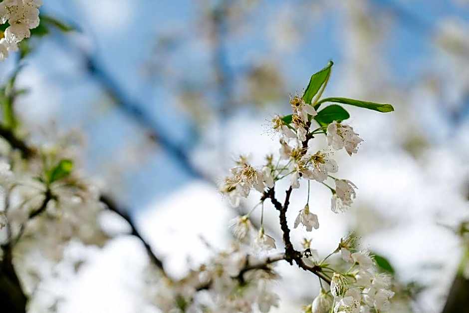 Doncaster East Home walking to shops restaurants