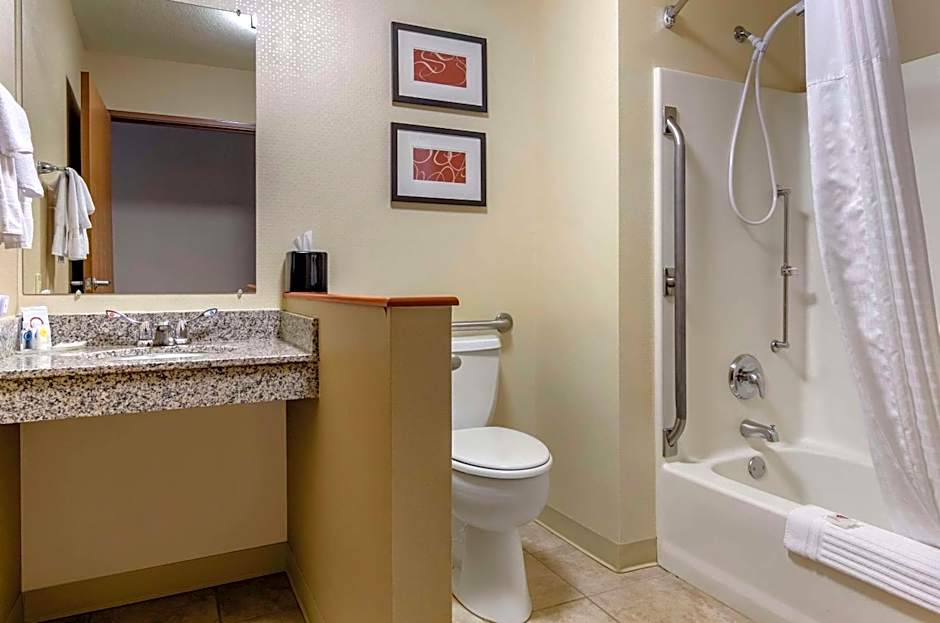 Comfort Inn Bozeman Near University