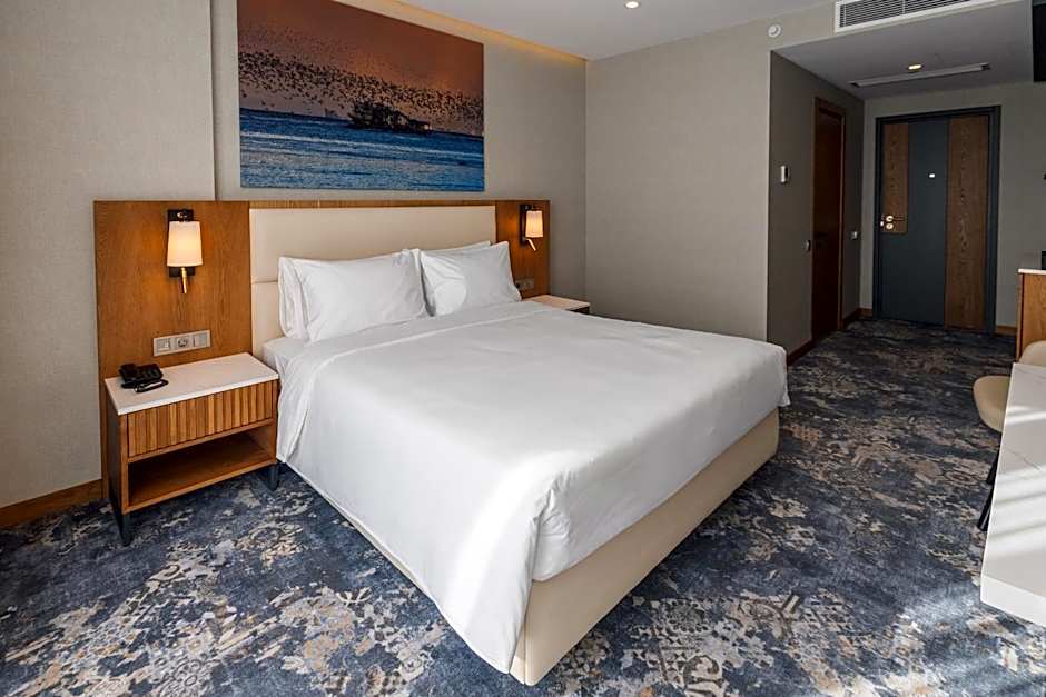 Photo 1 of 7 of Standard 1 King Bed
