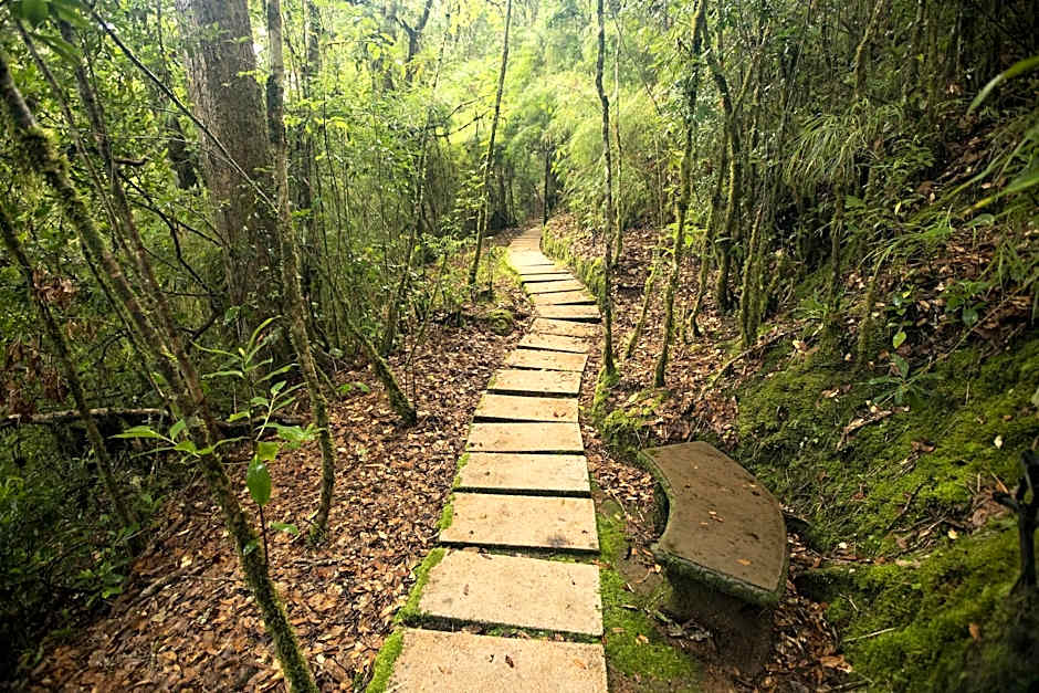 Dantica Cloud Forest Lodge