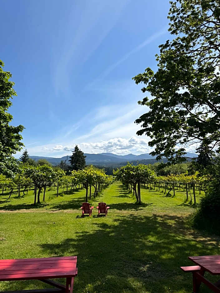 Kiwi Cove Lodge