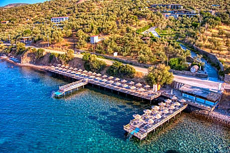 Assos Dionysos Special Class Hotel Adults Only 12 years