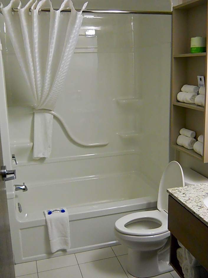 Microtel Inn & Suites by Wyndham Sault Ste. Marie