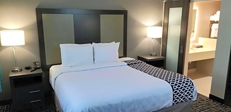 1 King Bed Non-Smoking